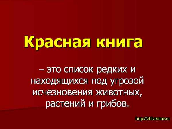 �������� ������� �����